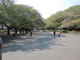 Ueno Onshi Park - lots of museum