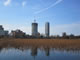 Ueno Park - Shinobazu Pond