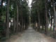 The Entrance