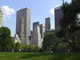 Central Park - The urban oasis