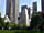 Central Park - The urban oasis